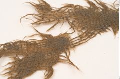 Foto von Textil (NHMW-PRAE-125701)